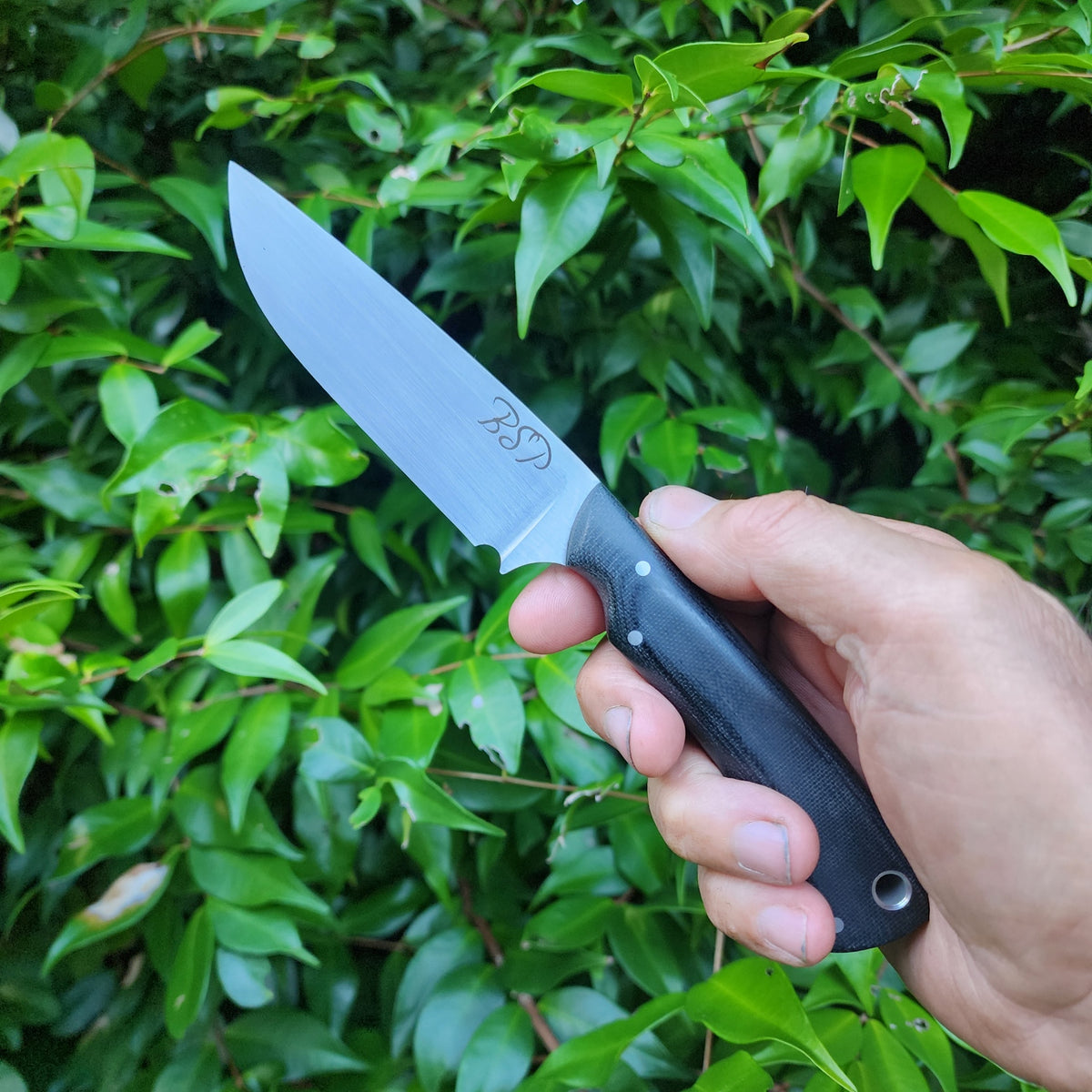 Drop Point Hunter - 8Cr14Mov Stainless