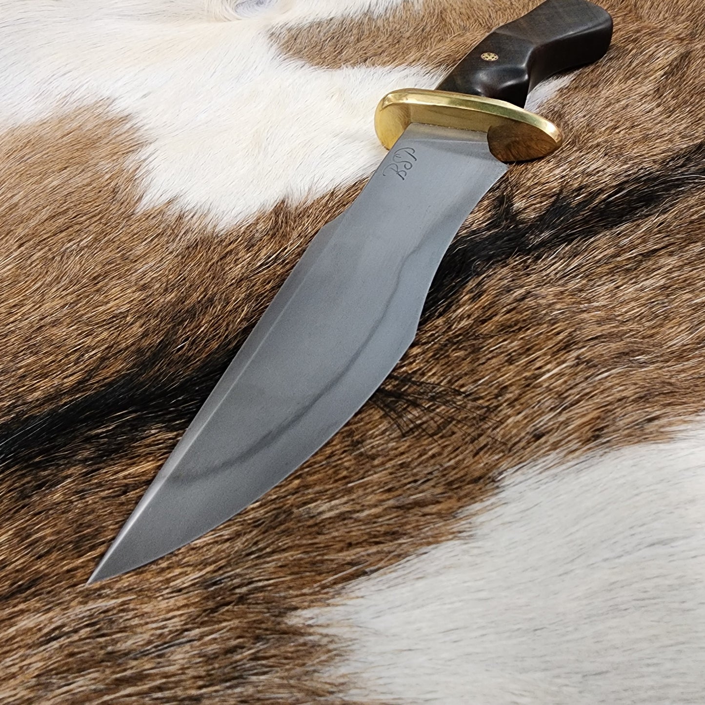 Clip Point Recurve Hunter