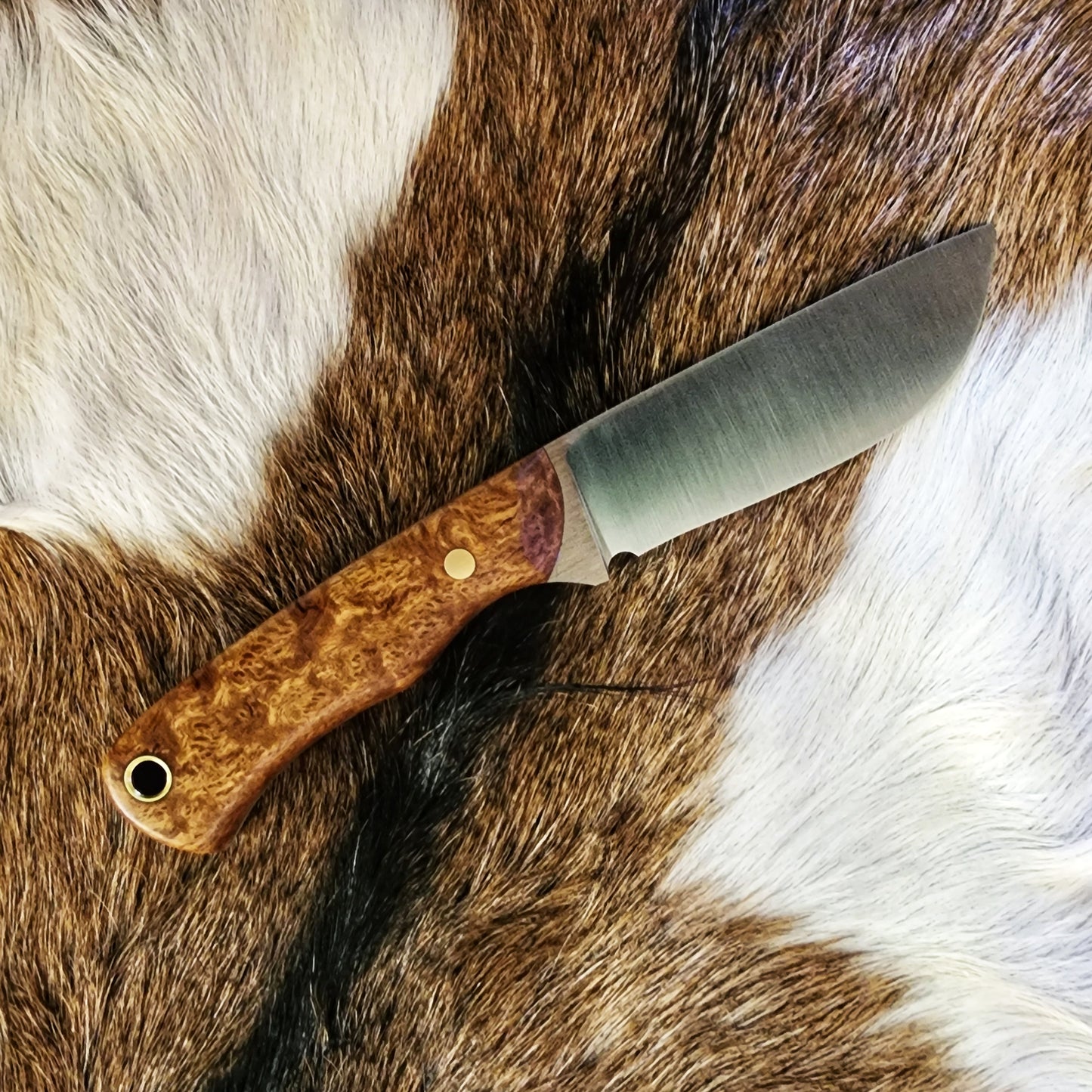 Drop Point Hunter/Skinner
