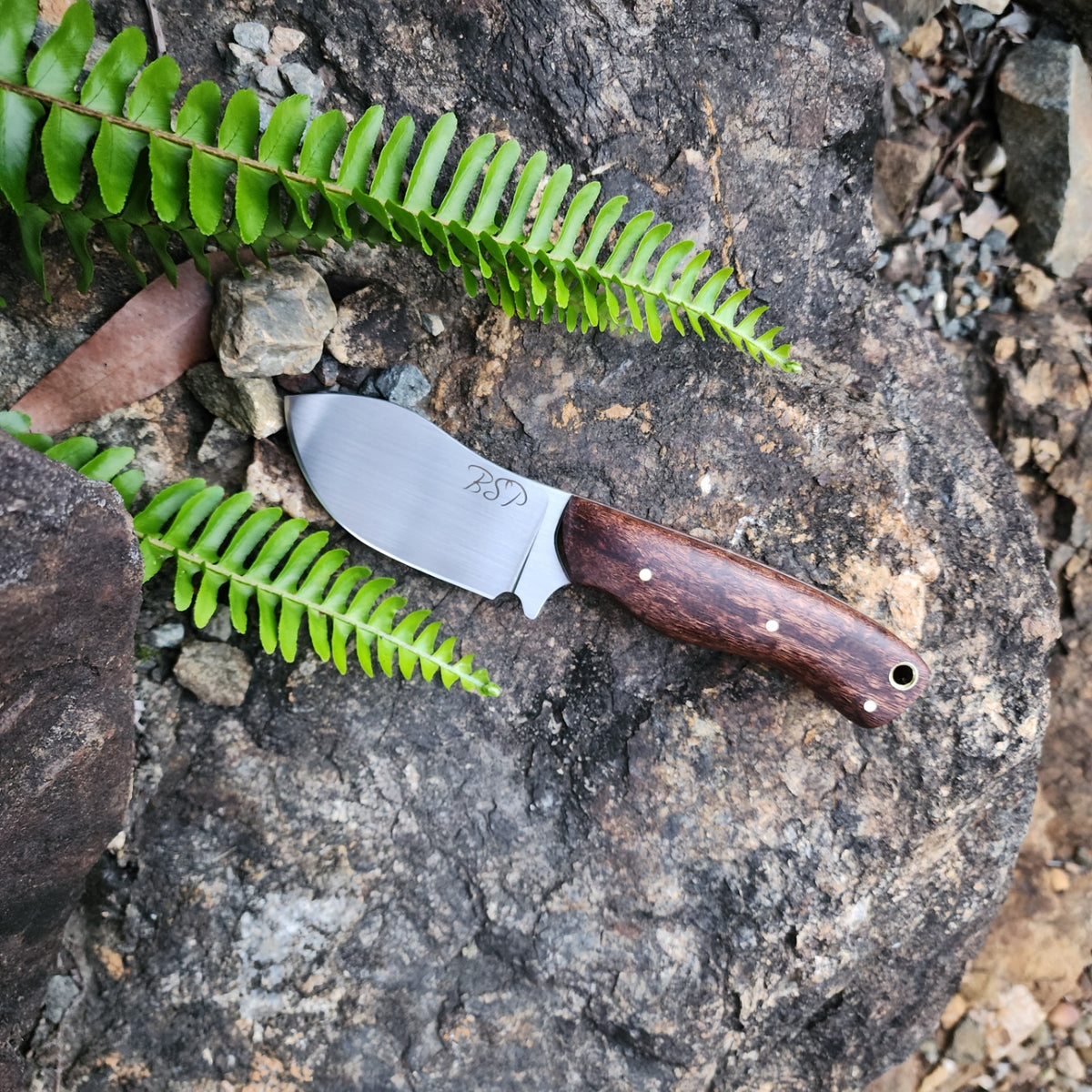 Short Skinner - Nitro-V Stainless