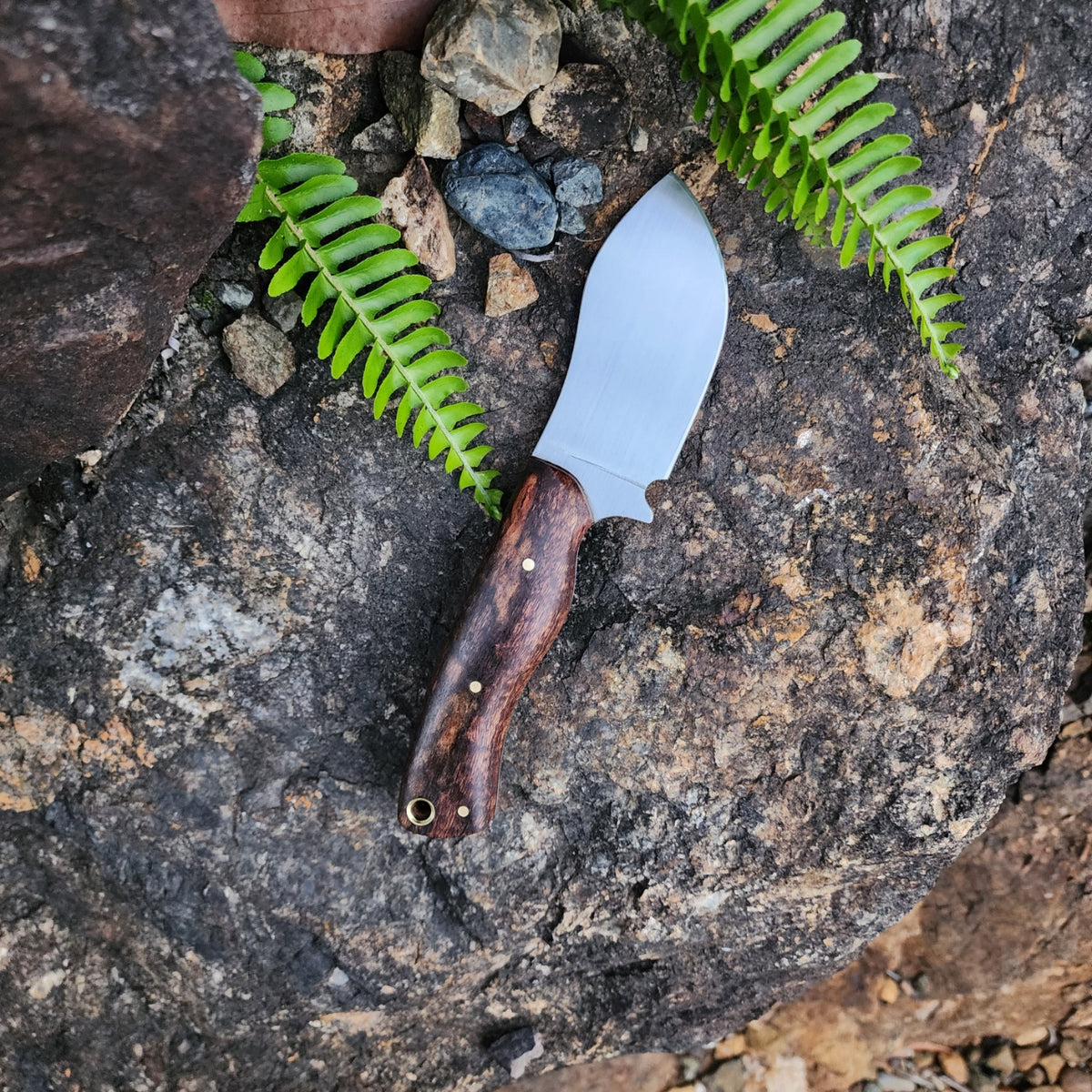Short Skinner - Nitro-V Stainless