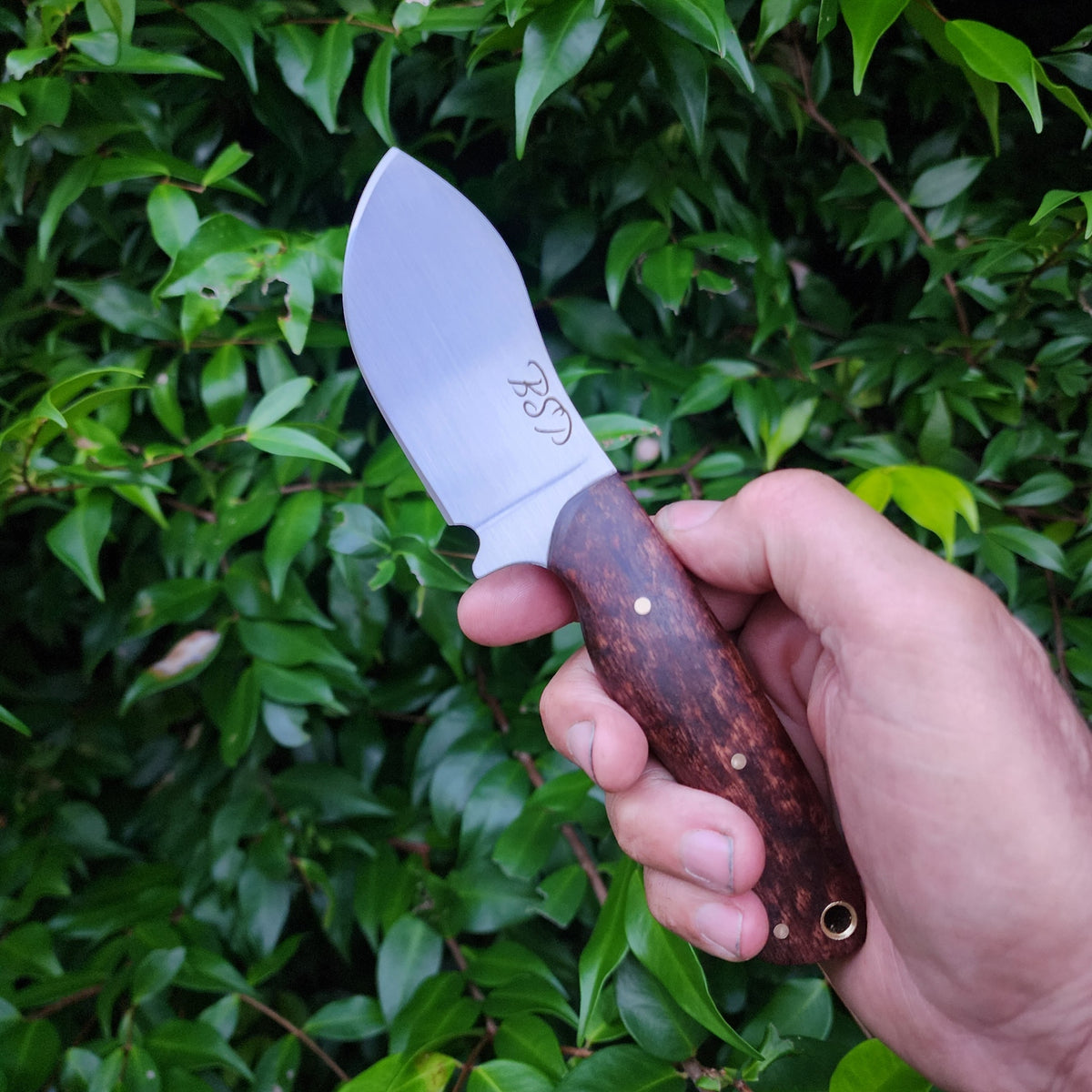 Short Skinner - Nitro-V Stainless